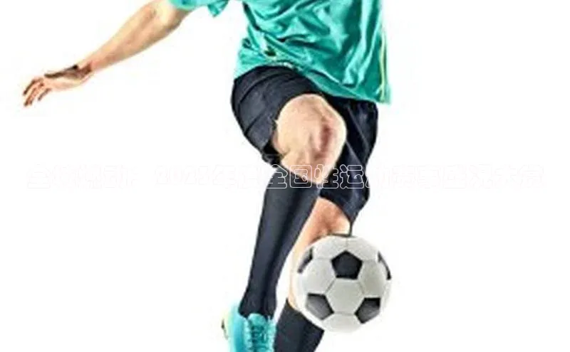 九游j9登录入口首页