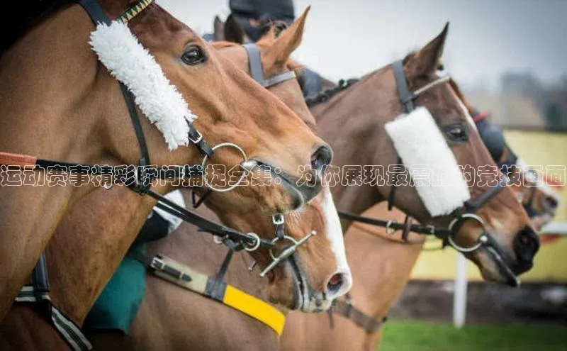 ag九游会j9官方网站j9