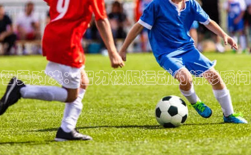 智勇对决：智力极限运动的精彩瞬间